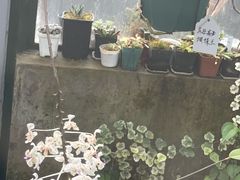 -国家植物园南园