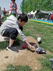 -上美四季动物农场