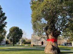 -养云安缦吧THE BAR