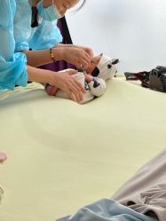 -海豚湾高端月子会所(黄浦店)