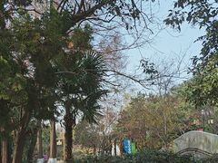 -白马涧龙池景区