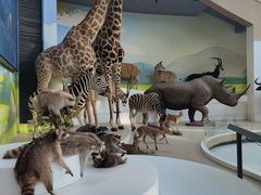 -陕西自然博物馆