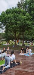 -Yvon yoga 瑜伽·精准体态管理中心