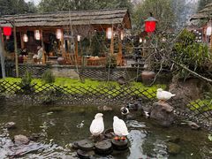 -青城甲(青城山店)