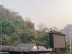 -野象谷景区