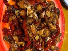 -柴窝堡22号辣子鸡·传承新疆菜