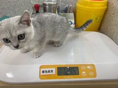 -谐和贝康宠物医院24小时·宠保定点(急重症转诊中心)