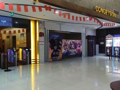 -龙之星国际影城(太平店)