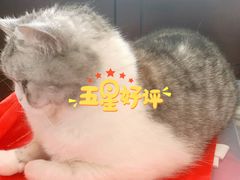 -恐怖游戏(湖滨店)