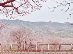 -居庸关长城