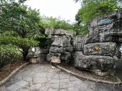 -海上田园