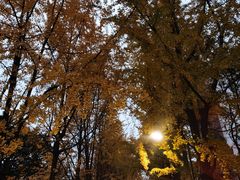 -西南交通大学(九里校区)