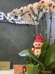 点击看大图 -意廊 Hair Salon