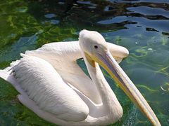 -常州淹城野生动物世界