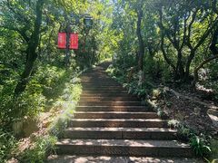 -杭州半山国家森林公园