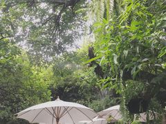 -Fern Forest Cafe