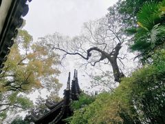 -天一阁博物院