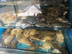 -小铜锣湾海鲜家常菜馆(河西店)