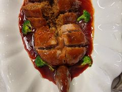 -丁老爷子苏香圆