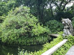 -广州兰圃