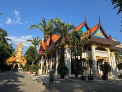 -云南勐巴娜西珍奇园