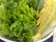 -鸽鸟轩(石岐店)