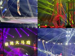 -海合安天津极地海洋公园