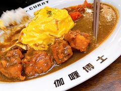 -伽喱博士 Dr.CURRY咖喱饭(太阳宫咖喱店)