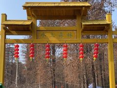 -渌洋湖湿地公园