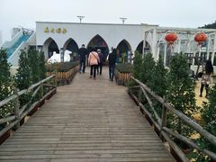 -马大胡子清真西北菜