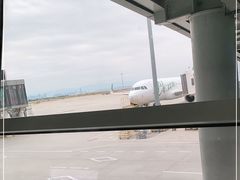 -厦门高崎国际机场-T3航站楼