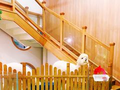 -藦茜花园宠物主题亲子互动体验馆(国顺东路店)