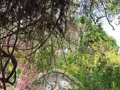 -深圳国际园林花卉博览园