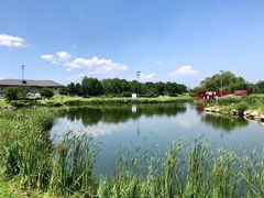 -万柳高尔夫俱乐部