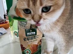 -满谷宝栗(奥林匹克店)
