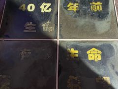 -北京周口店北京人遗址博物馆