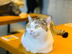 -IFIF 如果花園(宽厚里店)