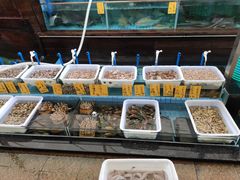 水产区-荔城生鲜盛宴(番禺旗舰店)