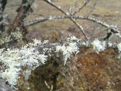 -硗碛藏寨·神木垒景区