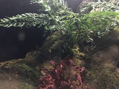-暹罗海洋世界