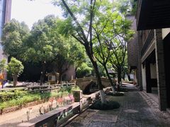 -龙潭水乡