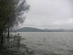 -长广溪湿地公园