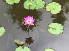 -东部华侨城