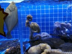 -老济南·地道济南菜(大明湖店)