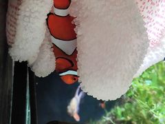 -南昌融创海世界