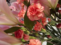 -红荔村肠粉(岗厦店)