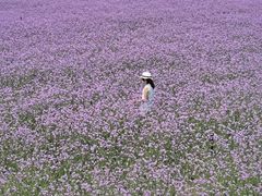 -上海杨姆庄园