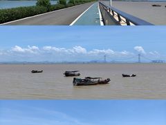 -大湾区中央湿地公园-十九涌