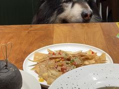 -more than meow吴止猫主题餐厅(承德 中船汇店)