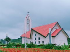 -西海岸生态观光园